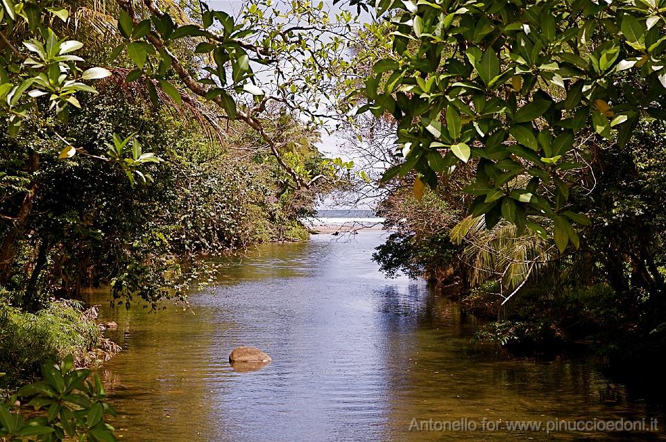 DOMINICA - Un fiume del nord arriva al mare.jpg